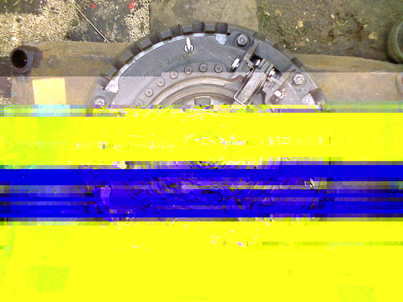Afb0376.jpg